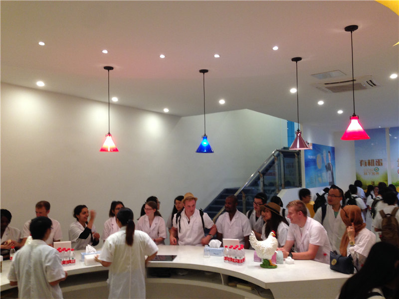 2-圣迪乐村工作人员邀请Bradford University交流生们检查鸡蛋质量.jpg 2-圣迪乐村工作人员邀请Bradford University交流生们检查鸡蛋质量.jpg