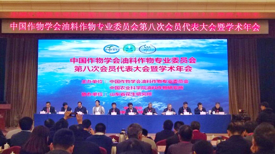 开幕式.jpg 开幕式.jpg