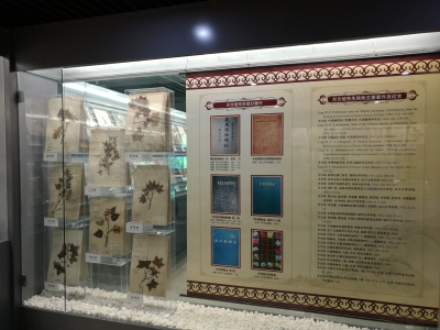 IMG_20160917_182419.jpg IMG_20160917_182419.jpg