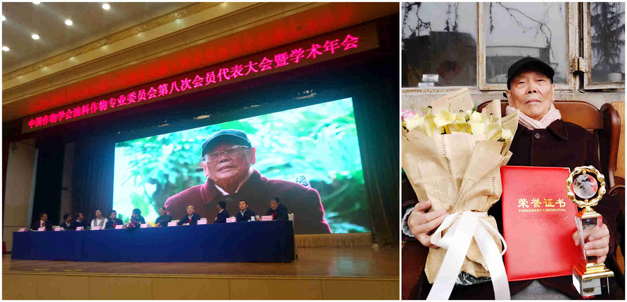 罗鹏教授.jpg 罗鹏教授.jpg